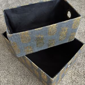 Gold Black Pineapple Black Lined Storage Bins Set Of 2 Large & Small
